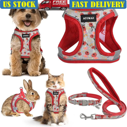 No-pull reflective dog harness and leash set