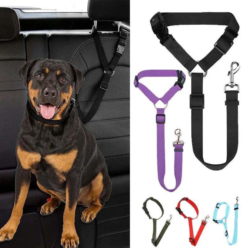 2-in-1 dog car seat belt and leash
