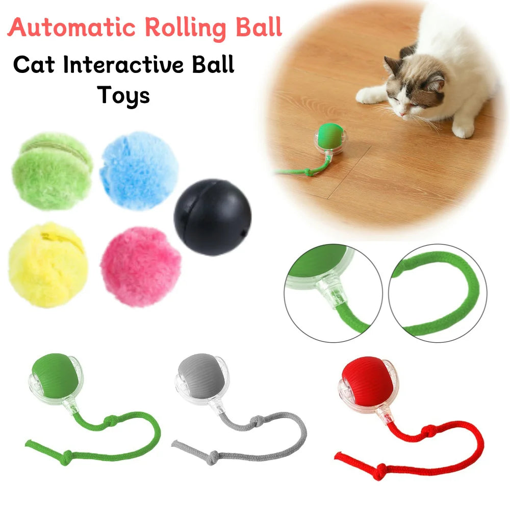 Interactive rolling ball pet toy